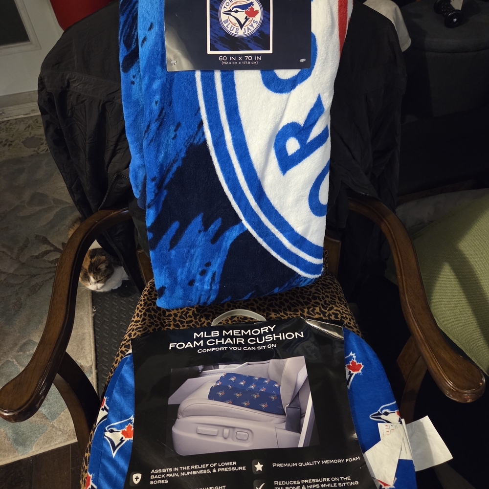 MLB Toronto Blue Jays Blue and White Team Throw and Foam Chair Cushion
